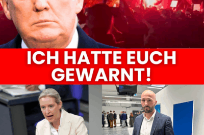 Internationaler Eklat um Gießen: US-Staatsführung schockiert über Gewalt gegen AfD – Der Skandal der „Opfertäterumkehr“ und die schamlose Vertuschung der Wahrheit