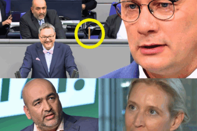 „Diebstahl im Bundestag“: AfD rechnet mit Bundesregierung ab – Omid Nouripour hagelt Ordnungsrufe wegen historischer „Plünderung“ der Steuerzahler