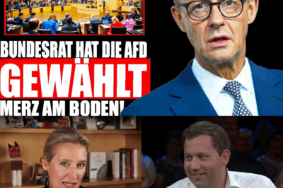 Historischer Erdrutsch in Berlin: Merz’ Koalition implodiert im Rentenstreit, während Steinmeier mit Verbotshetze die Demokratie spaltet – Das Ende der Brandmauer