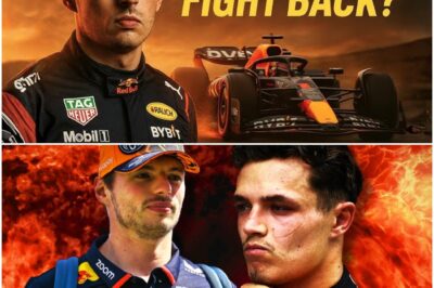 The Champion’s Decree: Inside Max Verstappen’s Secret Blueprint to Crush McLaren’s Uprising