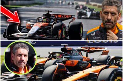 The Piastri Paradox: McLaren’s ‘One-Person Car’ and the Internal Crisis Threatening a World Champion’s Career