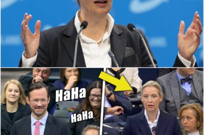 Ganzer Bundestag LACHT AfD-Chefin Weidel AUS Als Sie Sich Peinlich VERPLAPPERT!