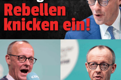 Verrat an der jungen Generation: Daniel Kölbl knickt als erster Renten-Rebell ein – Geht es nur um die Karriere?