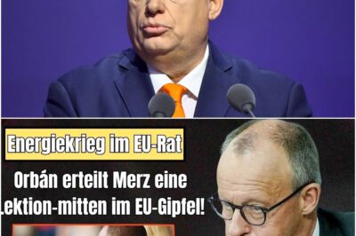 Schock beim EU-Gipfel! Orbán entlarvt Merz & Leyen wegen Sabotage! Deutschland blamiert sich!
