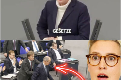 PLÖTZLICH STÜRMT FRIEDRICH MERZ LIVE AUF ALICE WEIDEL ZU!? Die Wahrheit war ihm ZU VIEL!