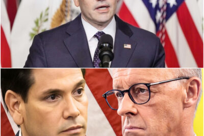 DER LÜGT EUCH INS GESICHT! RUBIO BLAMIERT MERZ VOR WELTPRESSE AFD SENDUNG GEHT ÜBERALL VIRAL