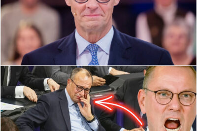 AFD Rede ESKALIERT komplett❗️Diese Reaktion von Merz geht viral und alle LACHEN ihn aus