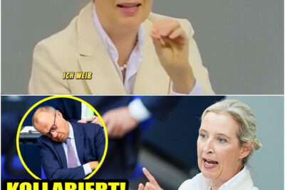 VOR 3 MINUTEN: Drama um MERZ! AfD zieht ihm den Stecker – und plötzlich bricht alles zusammen!?