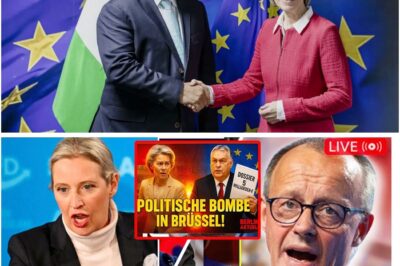 Brüssel im Chaos – Orbán enthüllt Milliardenbetrug, Merz verliert Kontrolle, fliehen aus dem Saal!