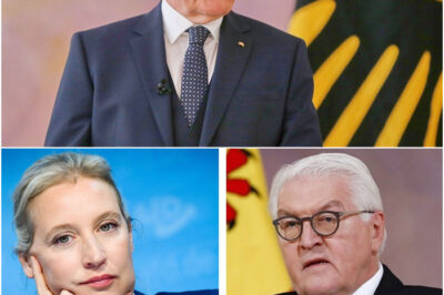 Steinmeier GERÄT IN PANIK Als Weidel Plötzliche Ehe Enthüllung Bringt
