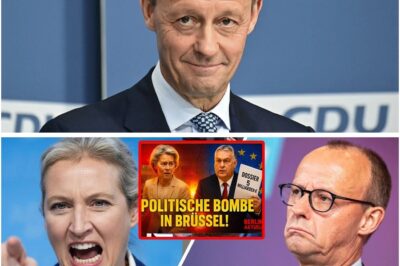 Orbán sprengt das EU-Parlament – 5 Milliarden Euro-Skandal erschüttert Brüssel. Merz fliehen!