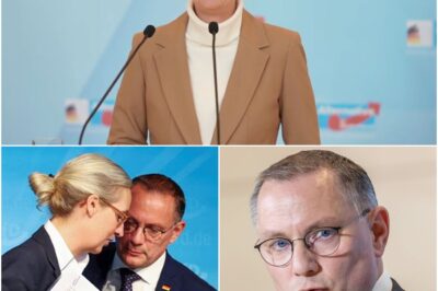 Presseerklärung von Alice Weidel & Tino Chrupalla – AfD-Fraktion im Bundestag