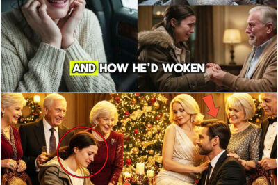 Unter Tränen unterzeichnet sie auf der Weihnachtsfeier die Scheidungspapiere – ohne zu ahnen, dass sie die Ehefrau des Milliardärs ist.