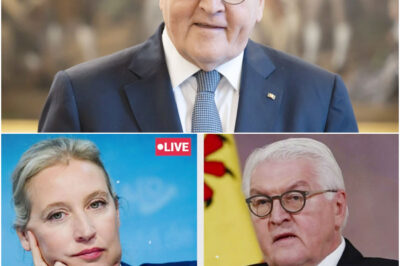 Steinmeier GERÄT IN PANIK Als Weidel Plötzliche Ehe Enthüllung Bringt