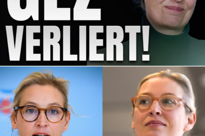 GEZ-Hammer: ARD streicht 12 Sender – Ein längst überfälliger Schritt oder nur ein Tropfen auf den heißen Stein im Milliarden-Sumpf?