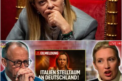 🚨 VOR 2 MIN! 🚨 Italien stellt Ultimatum an Deutschland – Meloni zerstört Merz’ Migrationsplan!