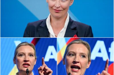 „Die, die diesen Krieg anfachen, gehören selbst in die Schützengräben” – Alice Weidel bei MAXIMA