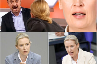 Tobsuchtsanfall im Plenum: Er schreit die AfD wütend nieder – doch als Alice Weidel sich plötzlich zu ihm vorbeugt und eiskalt abrechnet, fleht er mit zitternden Knien um Gnade!