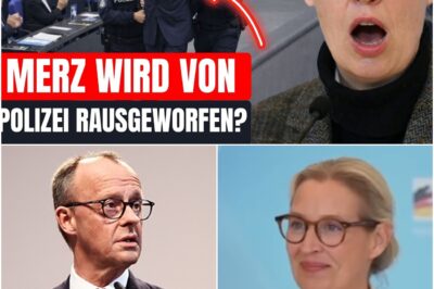Demokratie am Abgrund: Nach einer hochexplosiven AfD-Rede verliert Kanzler Merz völlig die Beherrschung – Musste der Sicherheitsdienst ihn mit Gewalt stoppen? Deutschland hält den Atem an vor diesem beispiellosen Parlaments-Skandal!