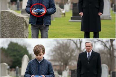 Milliardär trifft einen armen Jungen am Grab seines Sohnes — was dann geschieht, zerreißt jedes Herz