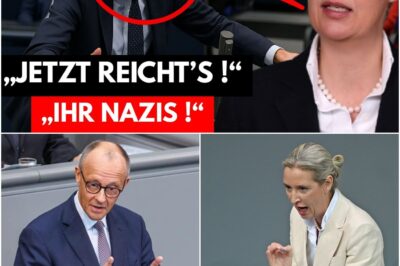 Staatskrise im Livestream: Kanzler Merz verliert jegliche Beherrschung und geht im Bundestag auf Alice Weidel los – Als die Mikrofone plötzlich abgeschaltet werden, bricht im Parlament ein Chaos aus, das alles verändert!