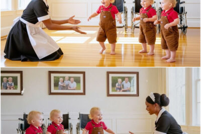 „Milliardär Überwacht Seine Gelähmten Drillinge –und Die Putzfrau Tut ETWAS, Das Ihn Erstarren Lässt