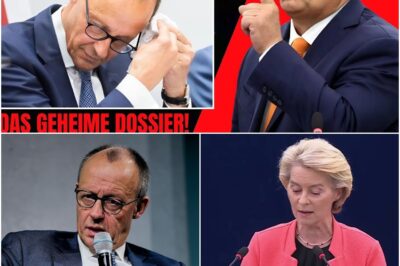 Europa hält den Atem an: Viktor Orbán lässt die Bombe platzen und enthüllt Merz’ streng geheime „Operation Donau“. Dieser unfassbare Verrat könnte das Ende des Kanzlers bedeuten – was wird hier vertuscht?