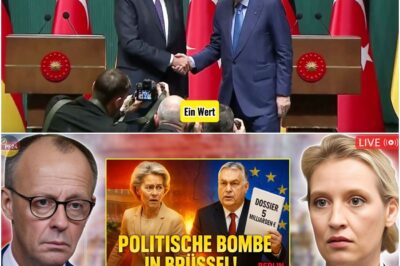 🚨 VOR 2 MIN! 🚨 Von der Leyen & Merz fliehen aus dem Parlament nach Orbáns politischer Bombe!