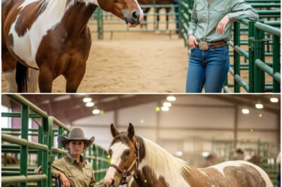 Niemand wollte das ‚hässliche‘ Pferd – bis die Rancher-Tochter erkannte, was alle übersehen hatten