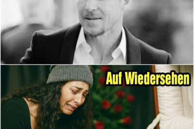 Die tragische Ironie des Himmelsstürmers: Warum Felix Baumgartner nicht in der Stratosphäre, sondern im alltäglichen Chaos des menschlichen Versagens seinen letzten, verhängnisvollen Moment erlebte und was seine letzten Sekunden enthüllen.