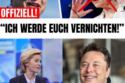 Schockwelle aus dem Silicon Valley: Elon Musk erklärt der EU den totalen Krieg – “Abolish the EU”