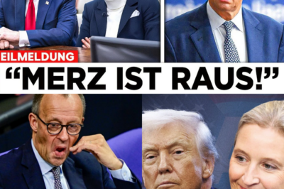 Berlin unter Schock: Trump brüskiert Merz und öffnet der AfD die Tür zum Weißen Haus – Plant er den Gipfel mit Weidel?