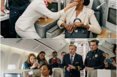 Flugbegleiterin ohrfeigt schwarzen CEO in ihrem eigenen Jet – 10 Minuten später feuert sie sein gesamtes Team