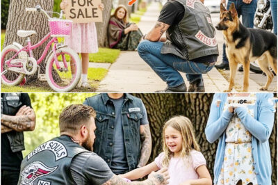 Kaufen Sie mein Fahrrad Herr Mama hat seit zwei Tagen nichts gegessen Die Biker erfuhren dieWahrheit