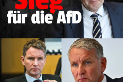 Politisches Erdbeben in Thüringen: AfD kratzt an der absoluten Mehrheit – Höcke vor dem Einzug in die Staatskanzlei?