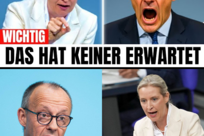 Politisches Erdbeben in Berlin: Weidels Dexit-Ultimatum stürzt Merz und Brüssel in historische Panik