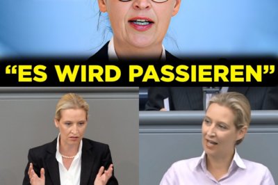Alice Weidel prophezeit das politische Beben: Warum Schröders virale Bombe die Regierung Merz in Panik versetzt