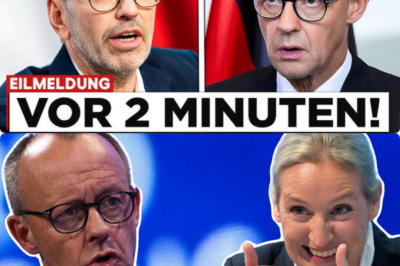 Politisches Beben zwischen Wien und Berlin: Herbert Kickl droht Friedrich Merz mit unfassbaren Konsequenzen