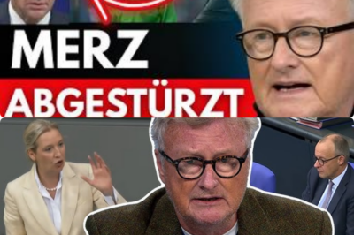 Merz wie vom Blitz getroffen: Hans-Ulrich Jörges rechnet nach historischer EU-Blamage gnadenlos ab
