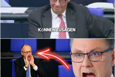 Plötzlich schreit Merz in AFD Rede rein❗️Merz ruft ,,Sei still du NAZI” und erlebt blaues WUNDER❗️