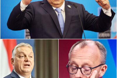 „Du hast Europa zerstört!“ — Orbán demütigte Merz vor den Augen der EU-Spitzen