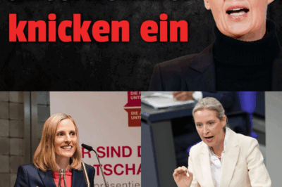 Einknick vor dem Mainstream? Familienunternehmer sagen AfD-Treffen ab und sprechen von „Fehler“