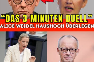 Skandal um „Projekt 47“: Alice Weidel treibt Kanzler Merz mit geheimen Akten in die Enge – 47 Millionen Euro spurlos verschwunden!