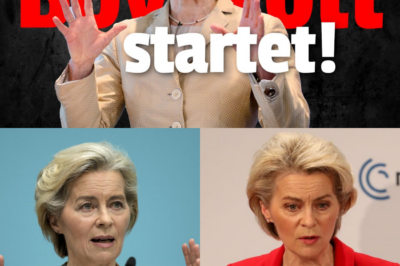 Der große GEZ-Aufstand: Wie Bürger mit einem simplen Brief das System lahmlegen und sogar 1.200 Euro kassieren könnten – Der legale Trick gegen die Gebührenerhöhung!