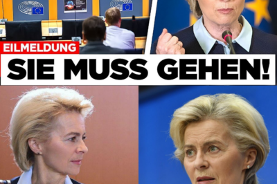 Rebellion in Brüssel: Parlament entzieht Ursula von der Leyen die Gefolgschaft – Elon Musk und Alice Weidel teilen heftig aus
