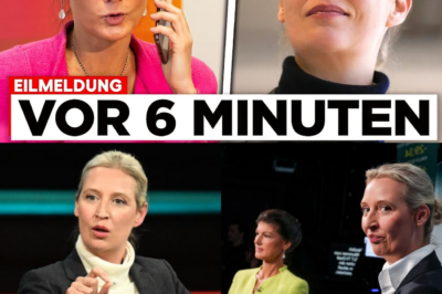Der Anruf, der Berlin erzittern lässt: Sahra Wagenknecht bricht das Tabu, kontaktiert Alice Weidel und erklärt die „Brandmauer“ für gescheitert