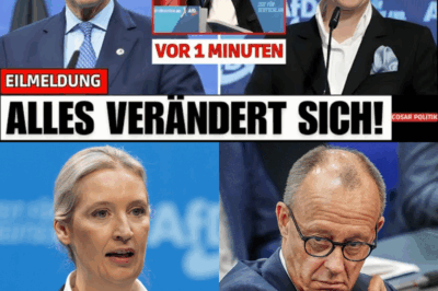 Historischer Machtwechsel in Berlin: AfD überholt Union – Ist das der Beginn einer neuen Ära unter Alice Weidel?