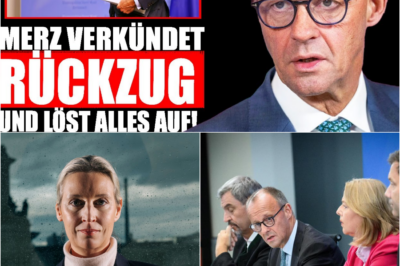 Der Große Verrat: Wie das 115-Milliarden-Euro-Rentengeschenk die CDU-Koalition sprengt und Merz’ “Brandmauer” ins Chaos führt