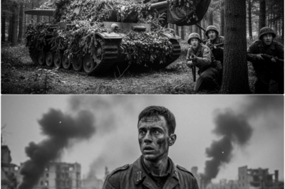 We Konnten Nicht Fassen, Wie Die Deutschen Ihre Panzer Und Flugzeuge Im Ersten Weltkrieg Tarnen