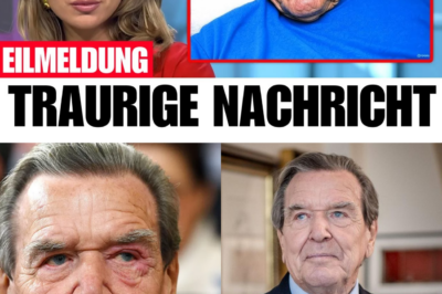 Der gebrochene Kanzler: Die schockierende Wahrheit über Gerhard Schröders Gesundheitszustand und seinen einsamen Fall
